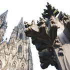 Dom mit Domblume