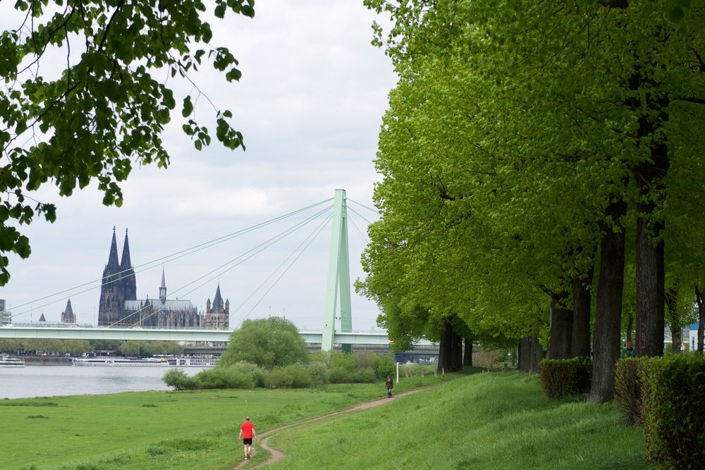 Dom mit Severinsbrücke