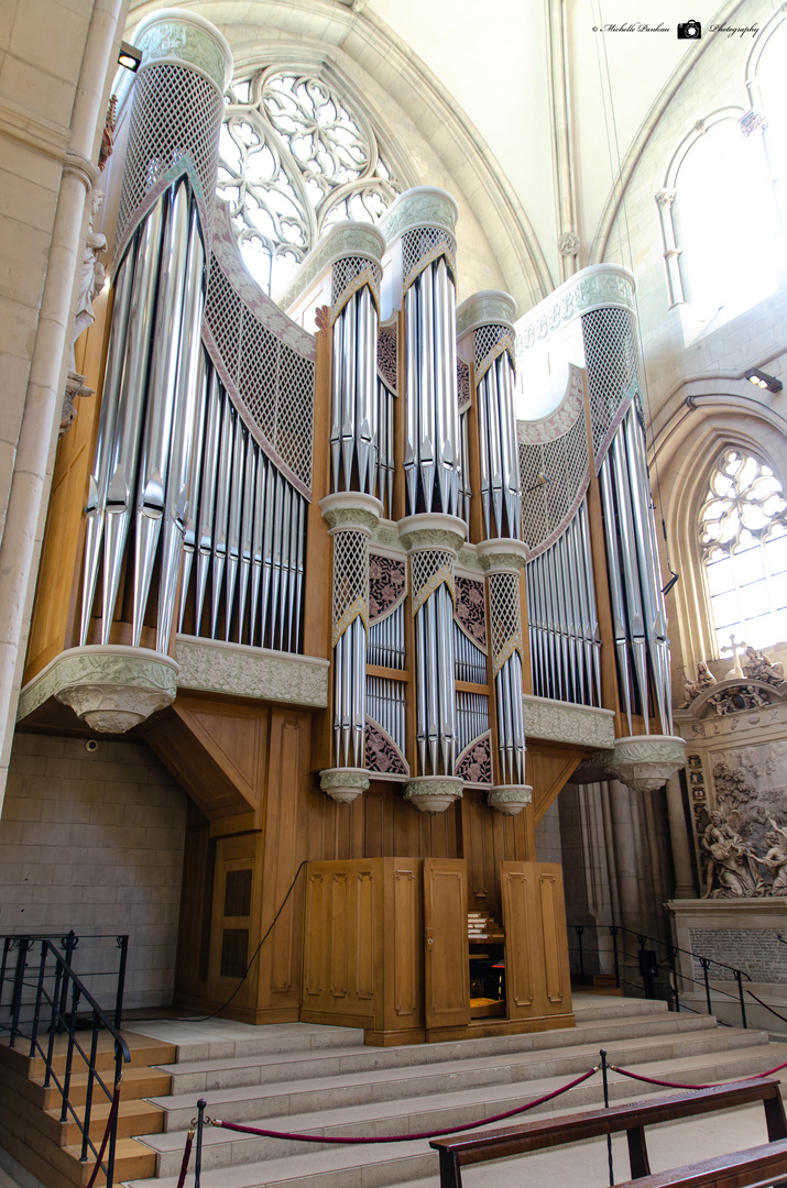Dom Münster - Orgel
