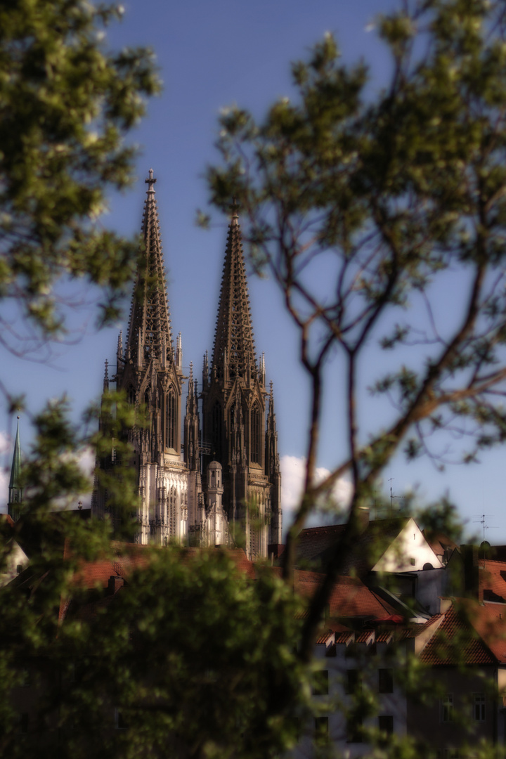 Dom Regensburg