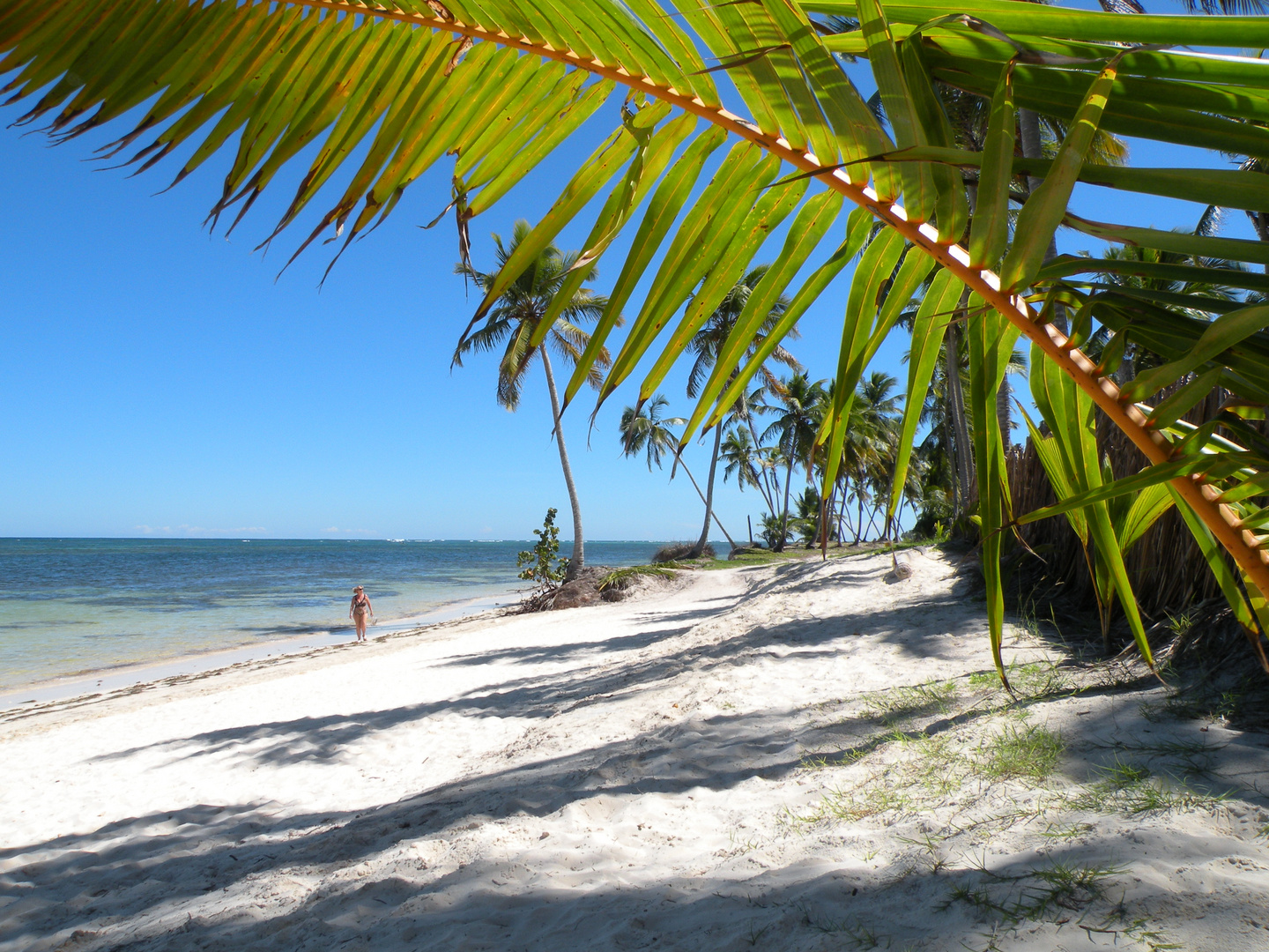 Dom Rep Punta Cana Foto Bild Landschaft Meer Strand Dom Rep Meer Bilder Auf Fotocommunity