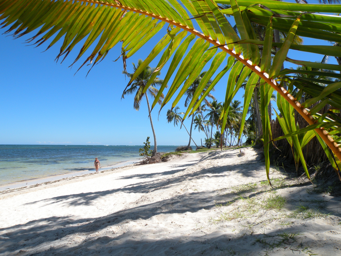 Dom. Rep, Punta Cana