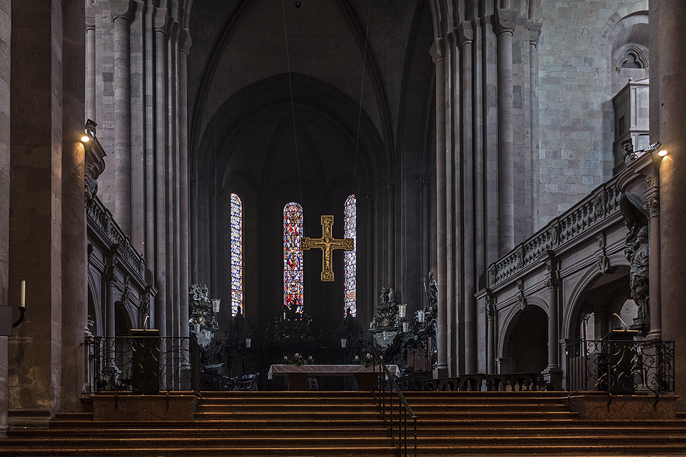 DOM SANKT MARTIN ZU MAINZ (4)