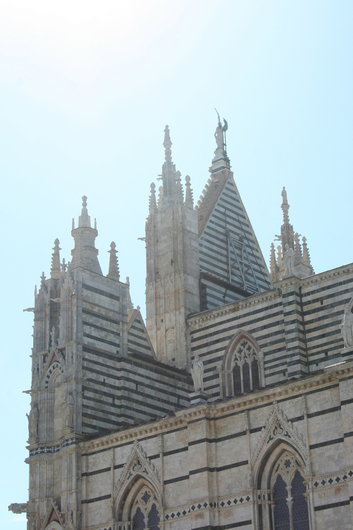 Dom Siena