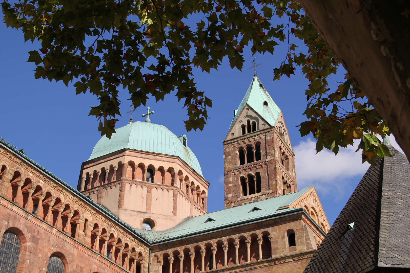 Dom Speyer 2