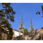 Dom 'St. Peter & Paul'/ Brno