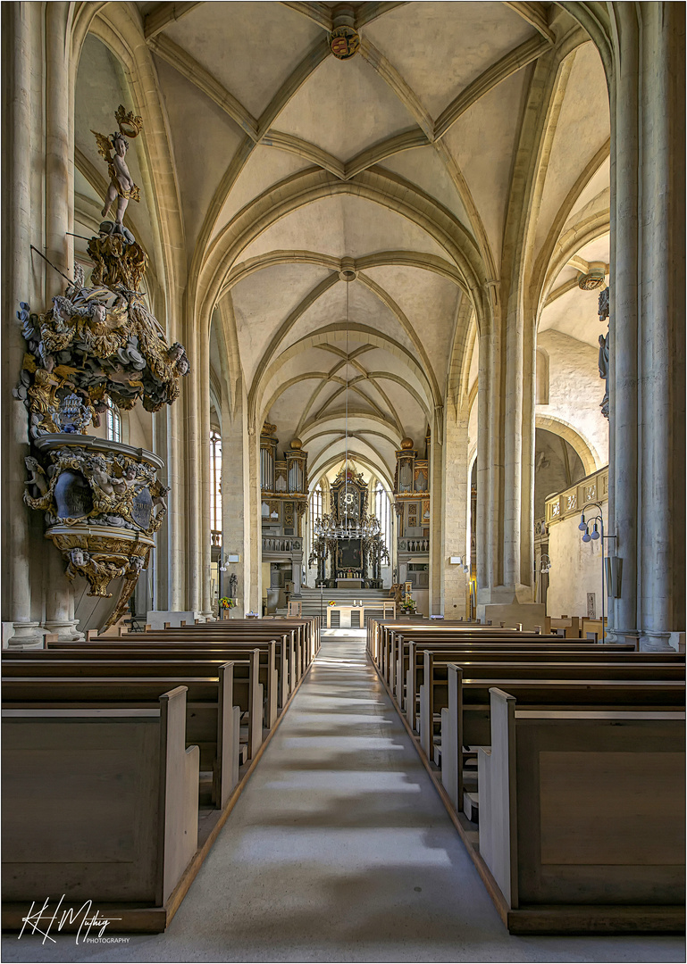 Dom St. Peter und Paul  -  Zeitz  " Gott zu Gefallen... "