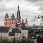 Dom und Schloss Limburg (2)