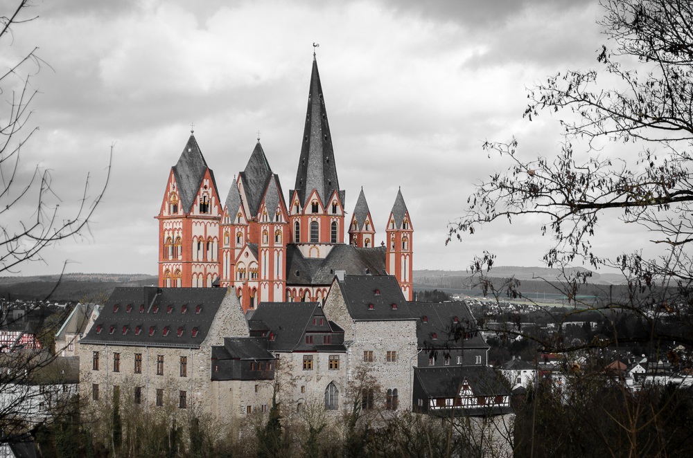 Dom und Schloss Limburg (2)