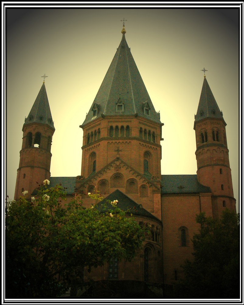 Dom zu Mainz