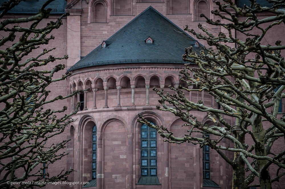 Dom zu Mainz - Februar 2014