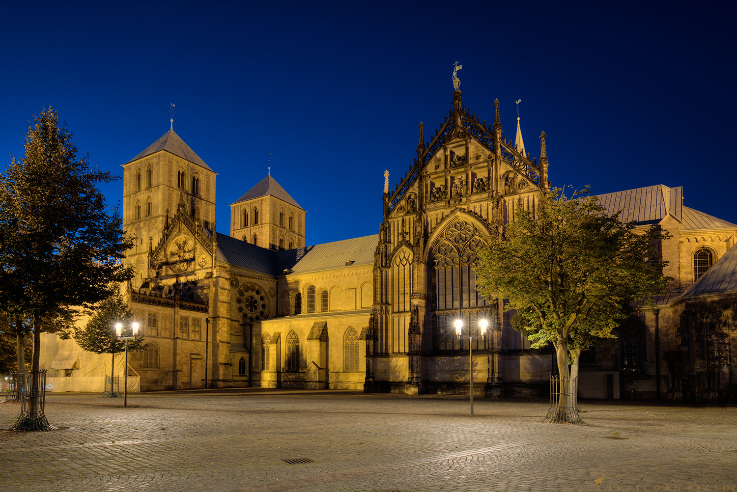 Dom zu Münster