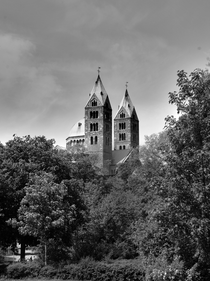 DOM zu Speyer