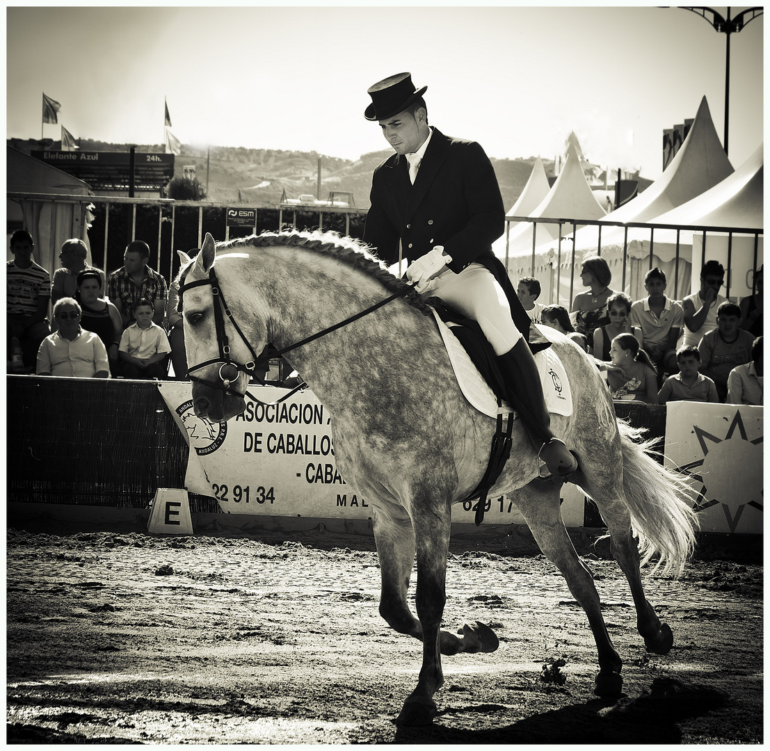 doma ecuestre en jerez españa