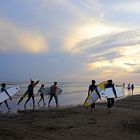 DOMADORES DE OLAS