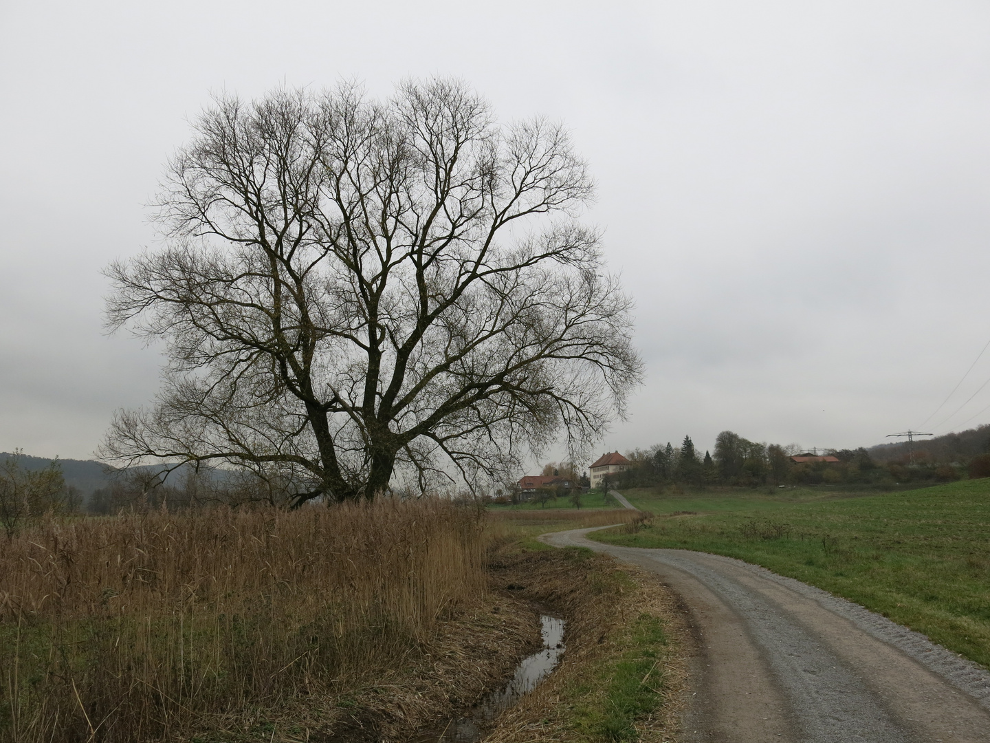 Domäne Ammerhof bei Tübingen im November