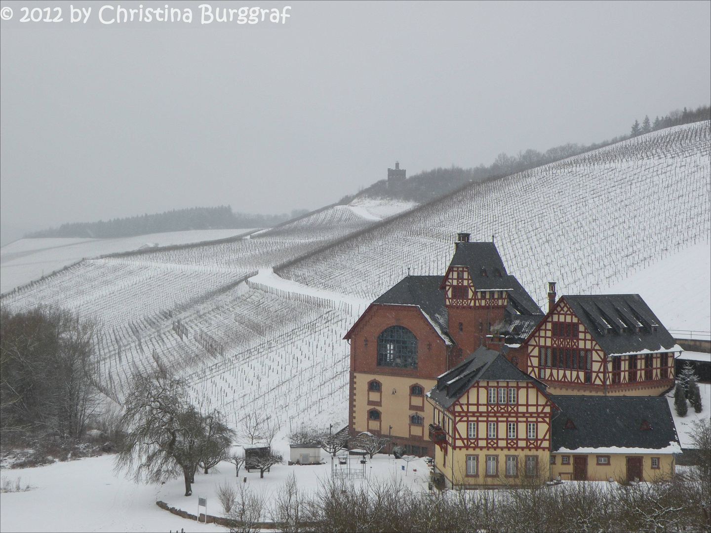 Domäne Avelsbach