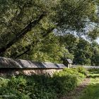 Domäne Steinberg im Rheingau