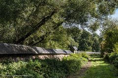 Domäne Steinberg im Rheingau