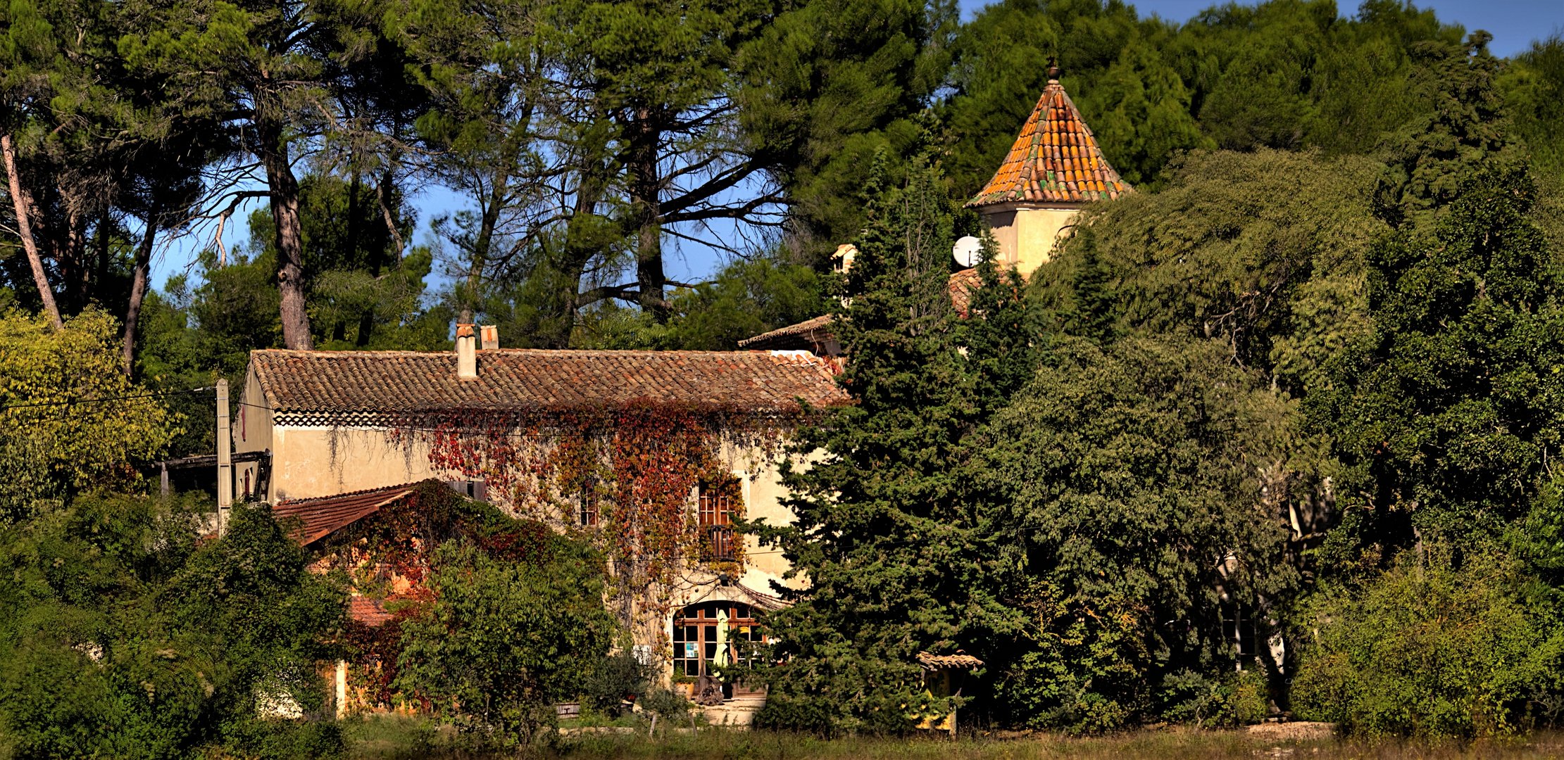 DOMAINE DE LA GASQUI