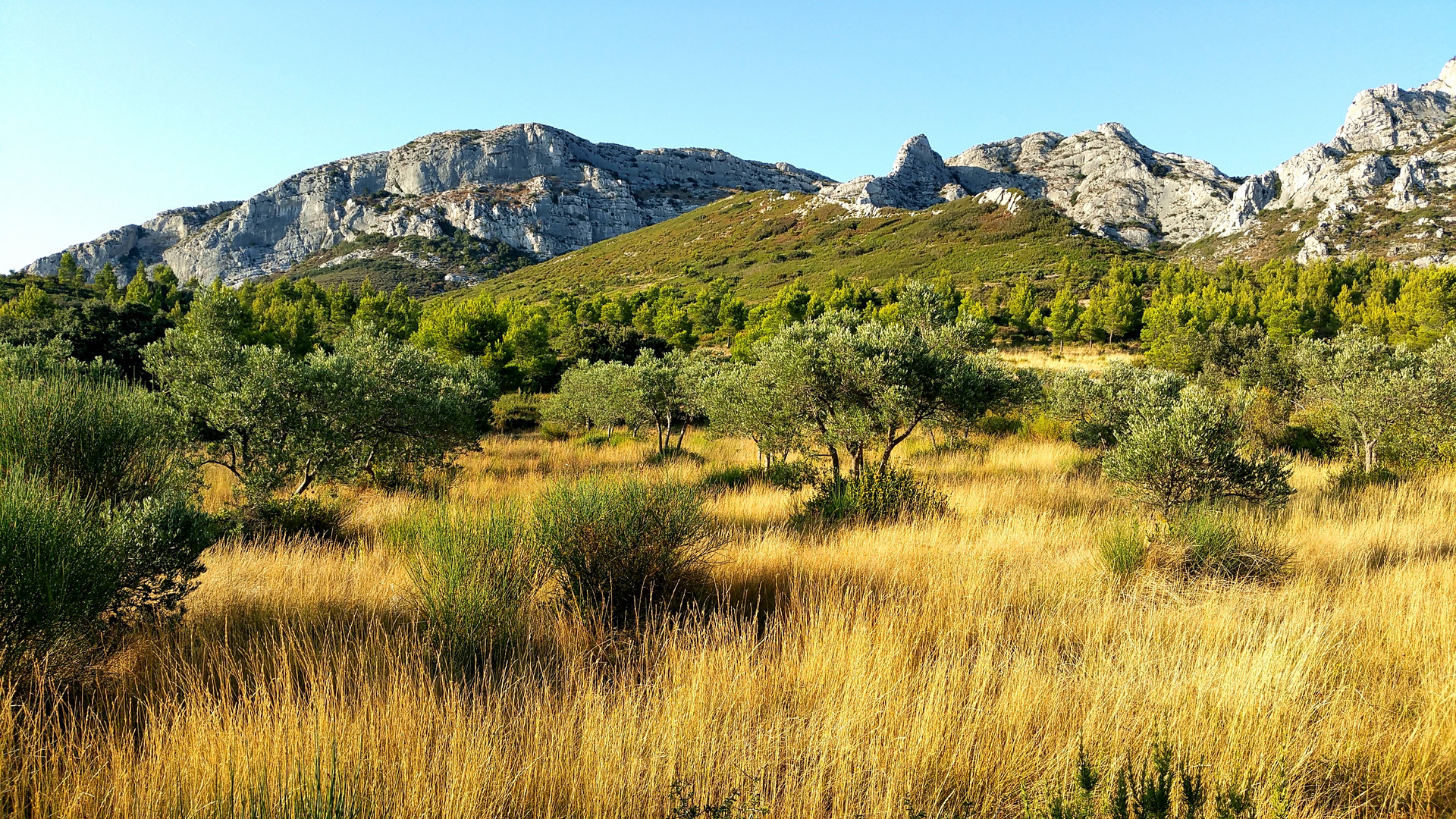 DOMAINE des ALPILLES - AUREILLE - en bas des Civadières