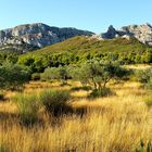 DOMAINE des ALPILLES - AUREILLE - en bas des Civadières