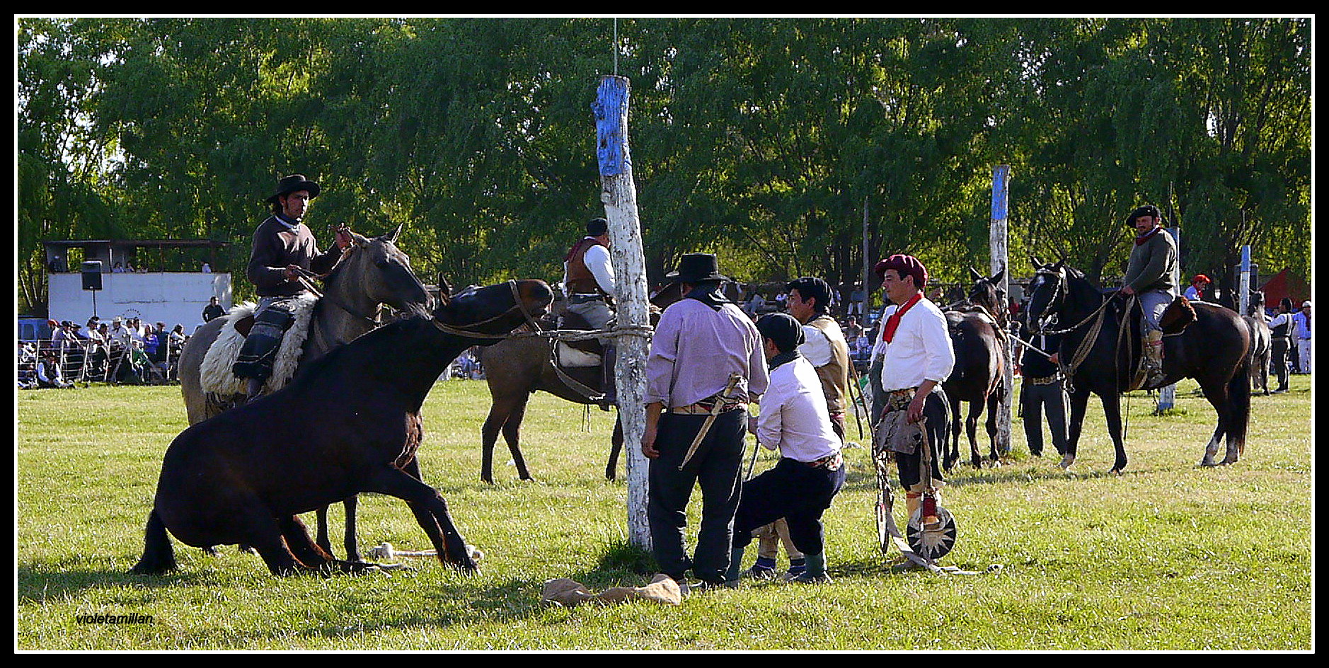 DOMAS,COSTUMBRES ARGENTINAS