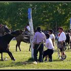 DOMAS,COSTUMBRES ARGENTINAS