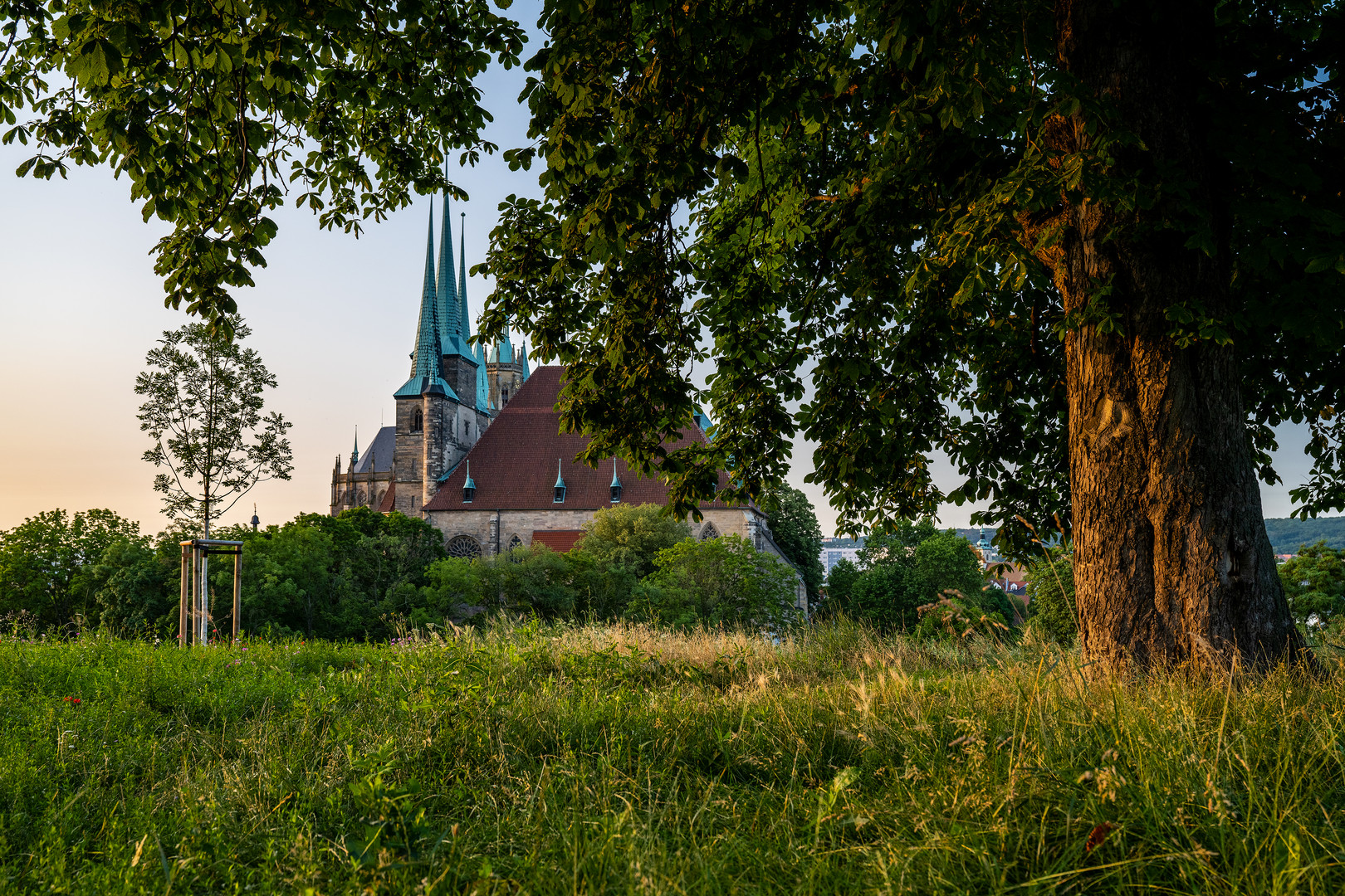 Domblick 01