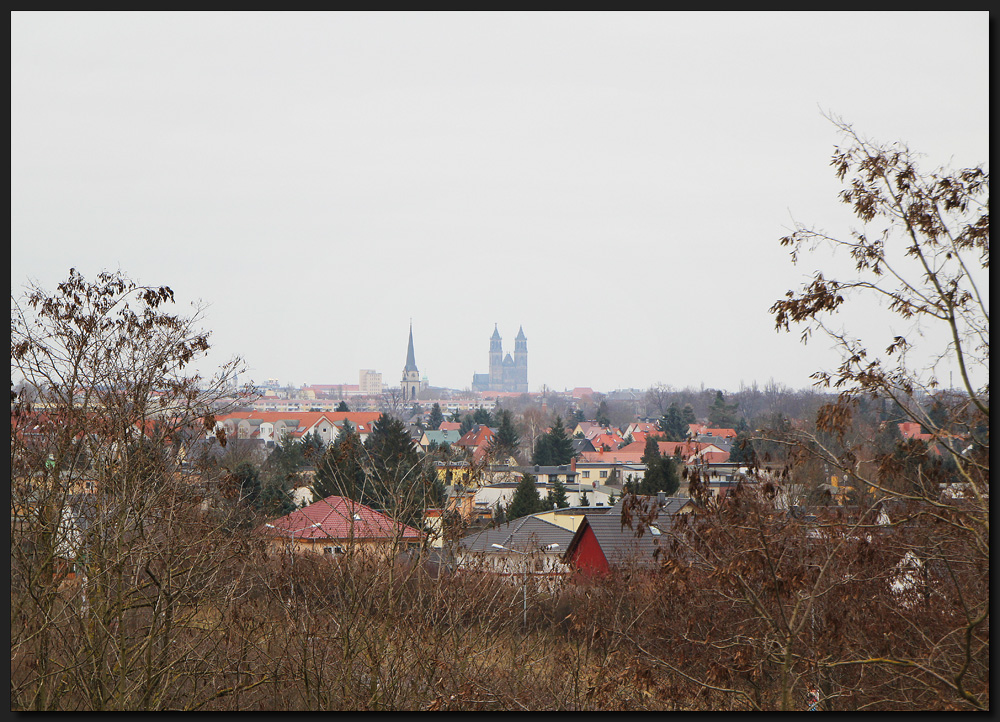 ...DomBlick...