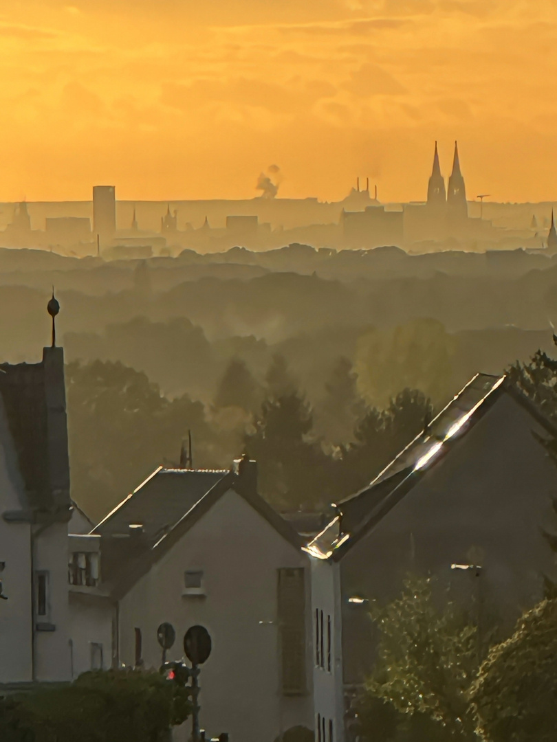 Domblick aus Bergisch Gladbach