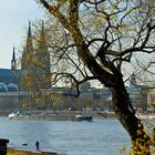 Domblick im Herbst