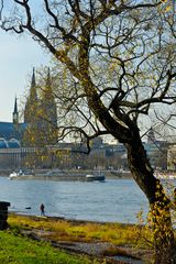 Domblick im Herbst