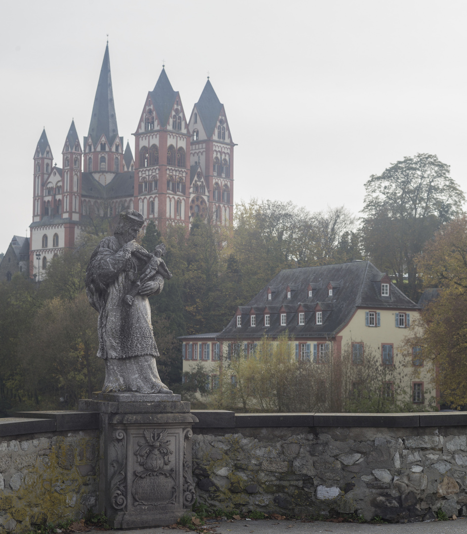 Domblick im November