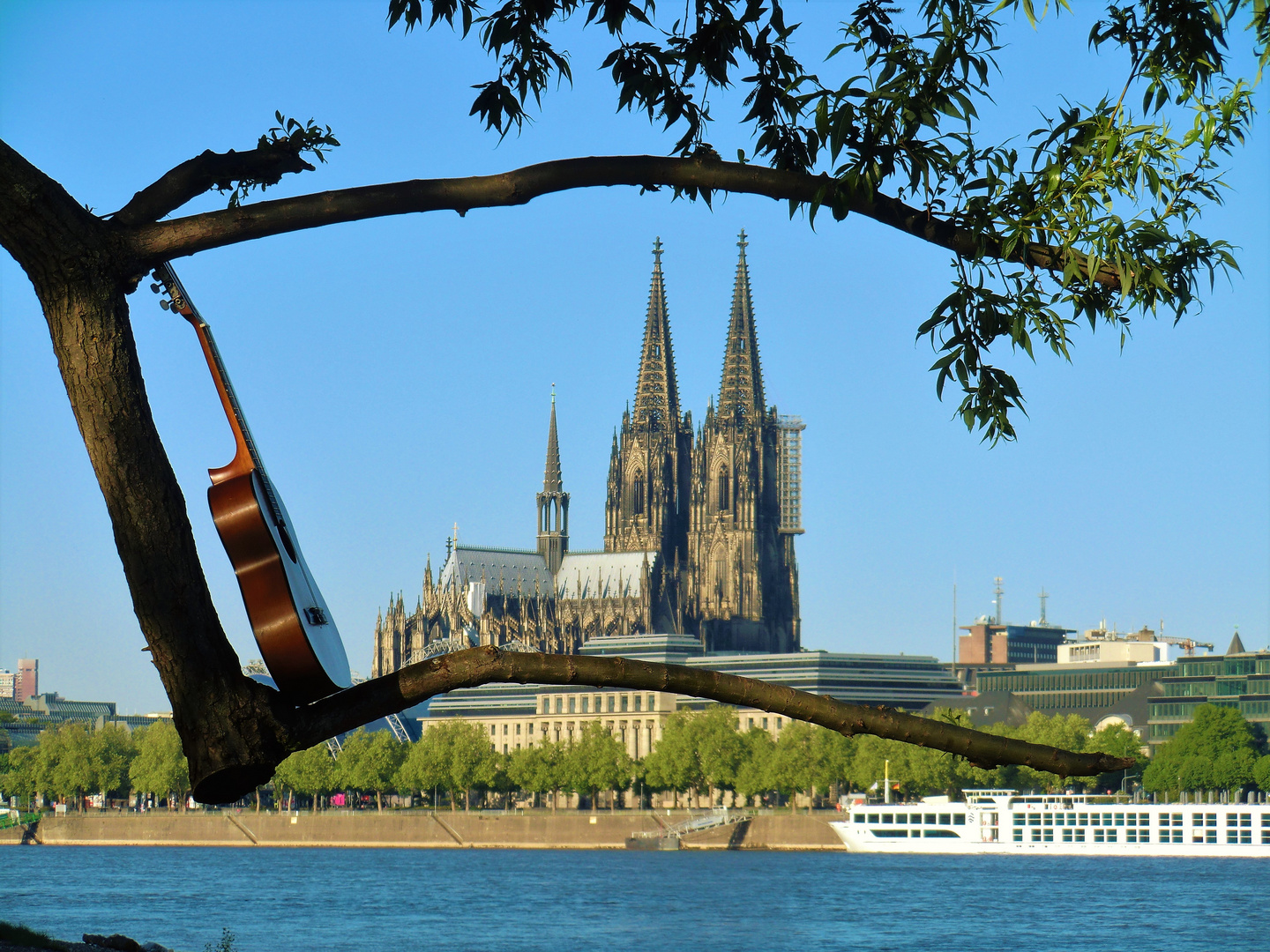 Domblick mit Naturrahmen