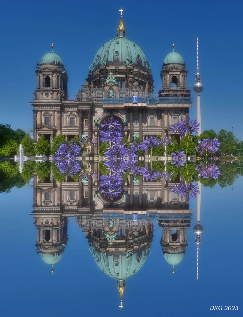 Domblütensommerspiegel Berlin 