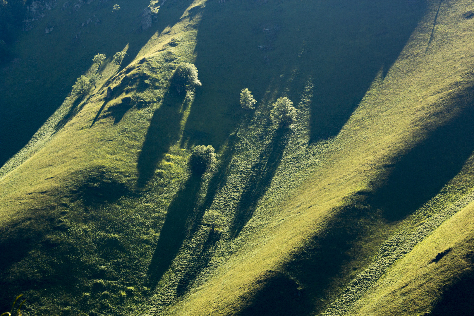 d'ombres et de lumière