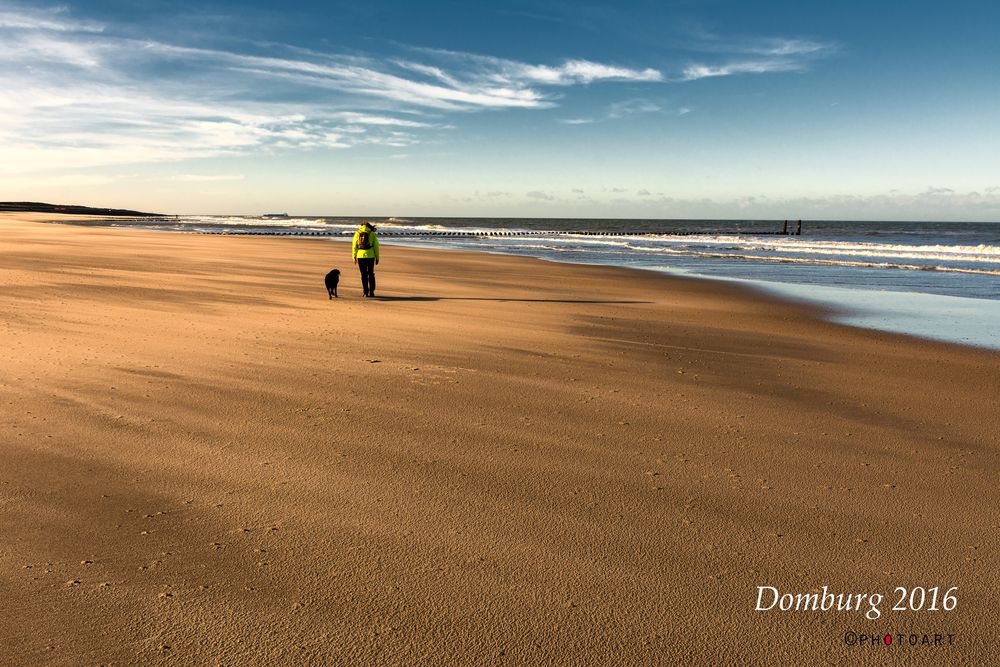 Domburg 2016 Foto & Bild urlaub, wasser, hund Bilder auf