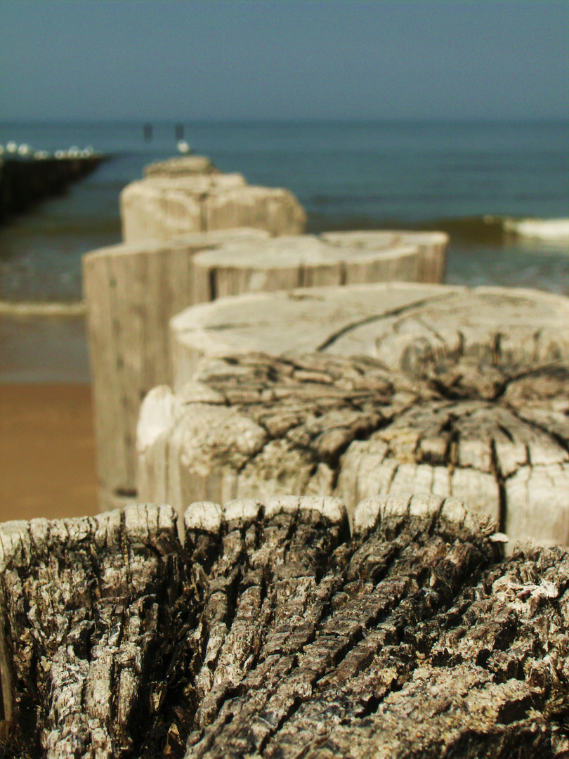 domburg