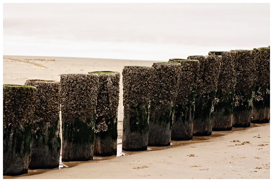 Domburg