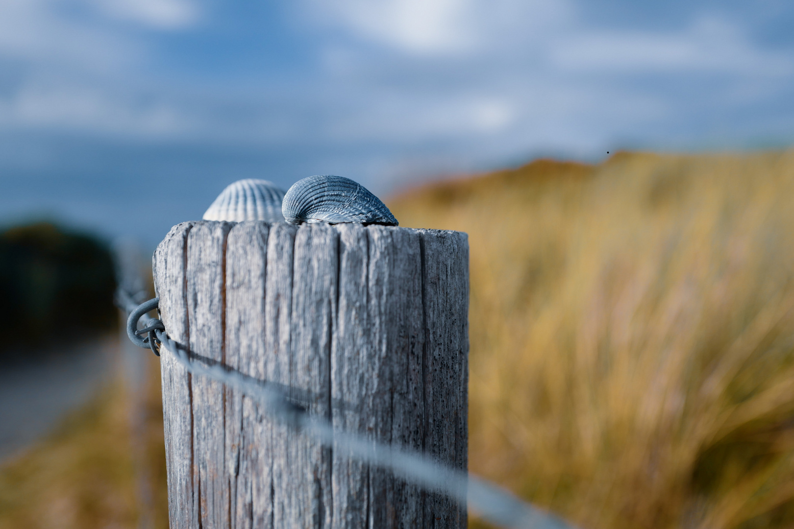 Domburg 