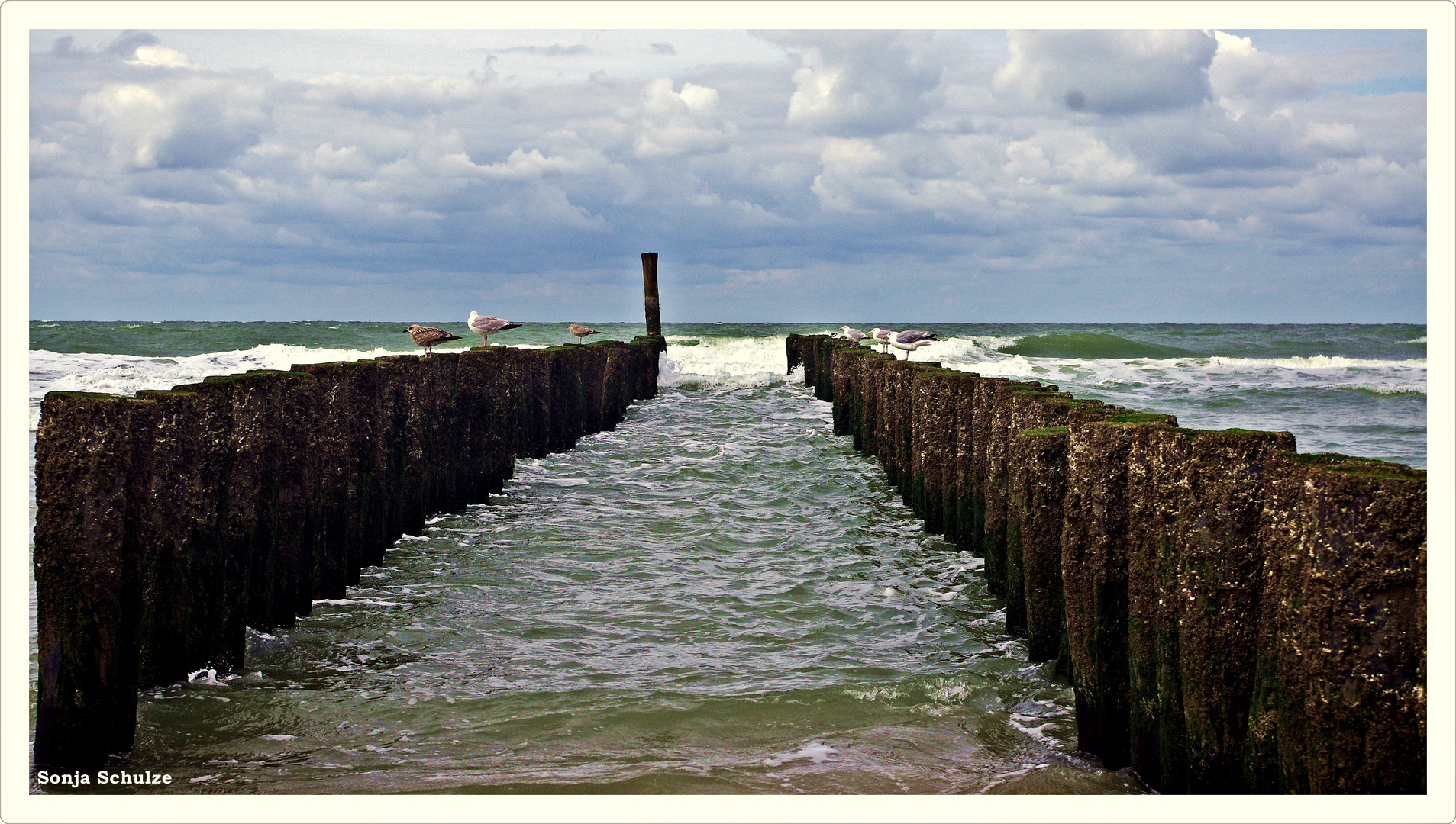 °° Domburg - Pfähle und Meereswellen °°