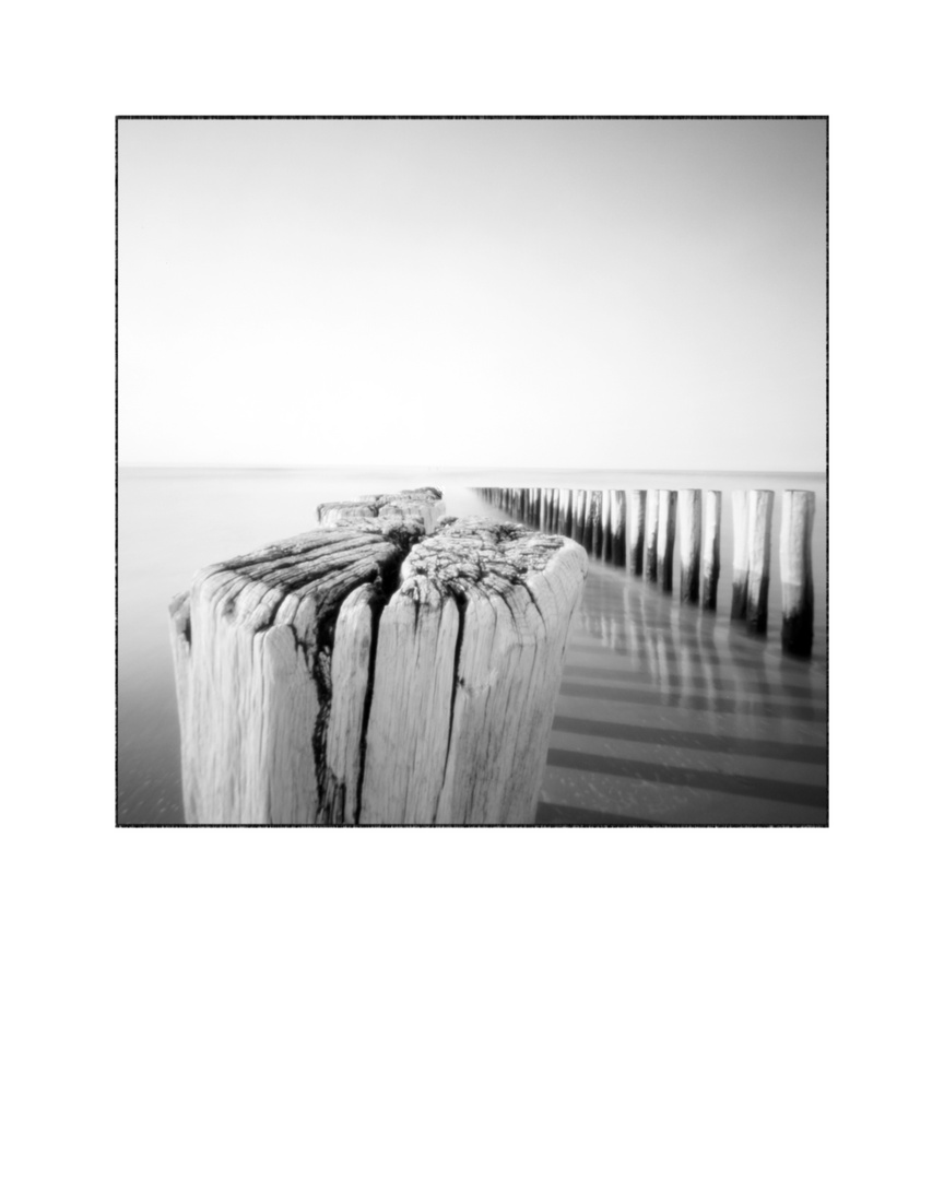 Domburg Pinhole # 1