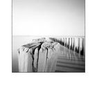 Domburg Pinhole # 1