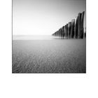 Domburg Pinhole # 5