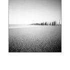 Domburg Pinhole # 6