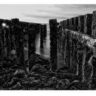 Domburg Seaside 80 | Netherlands