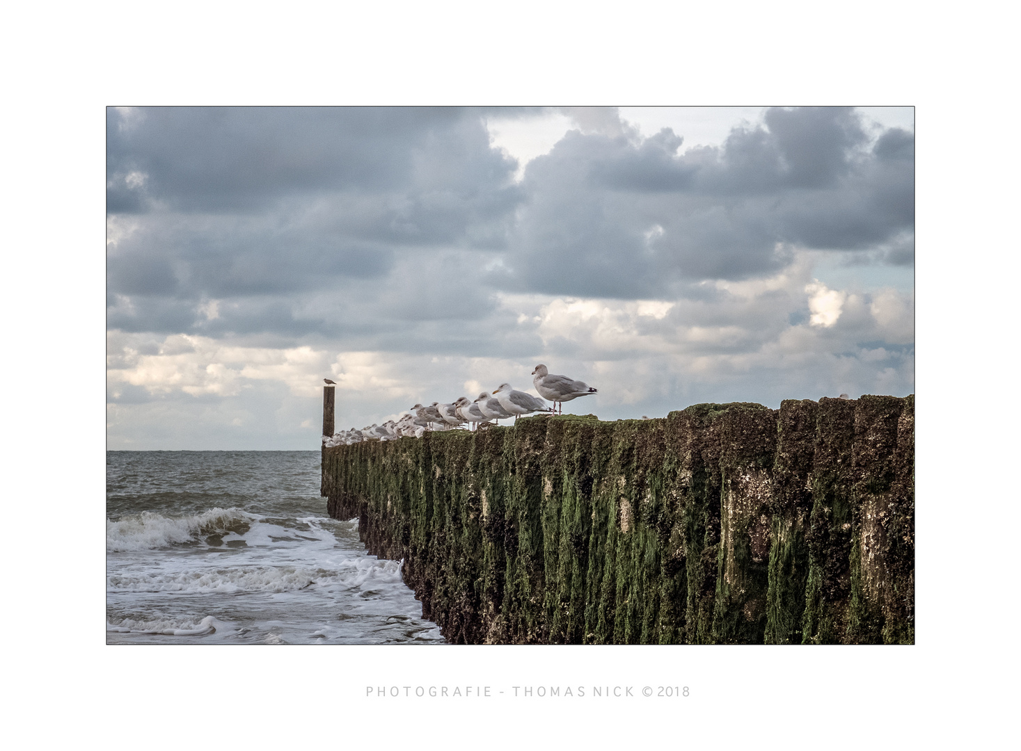 Domburg / Zeeland