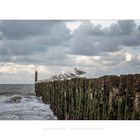 Domburg / Zeeland