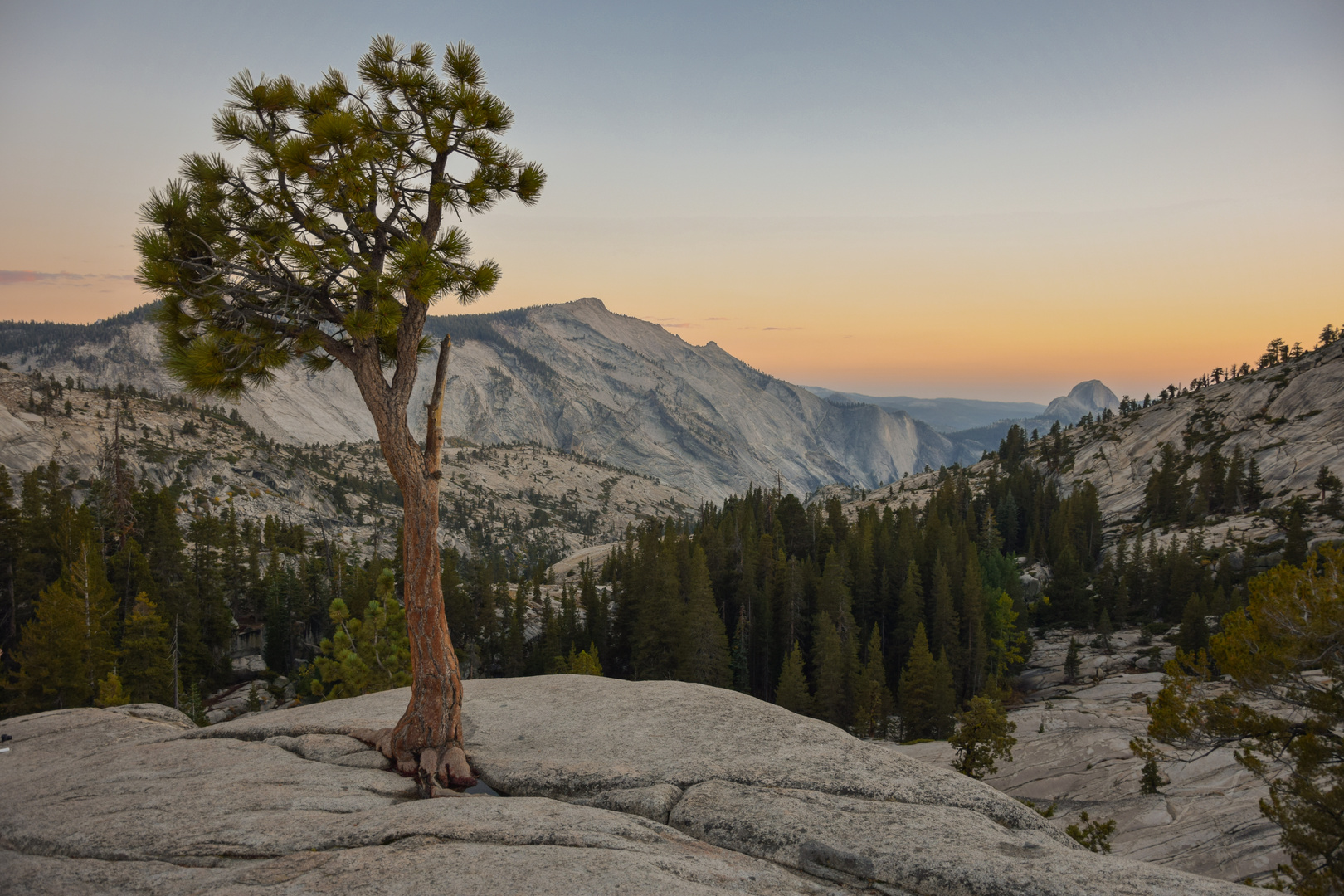 Dome at Dawn